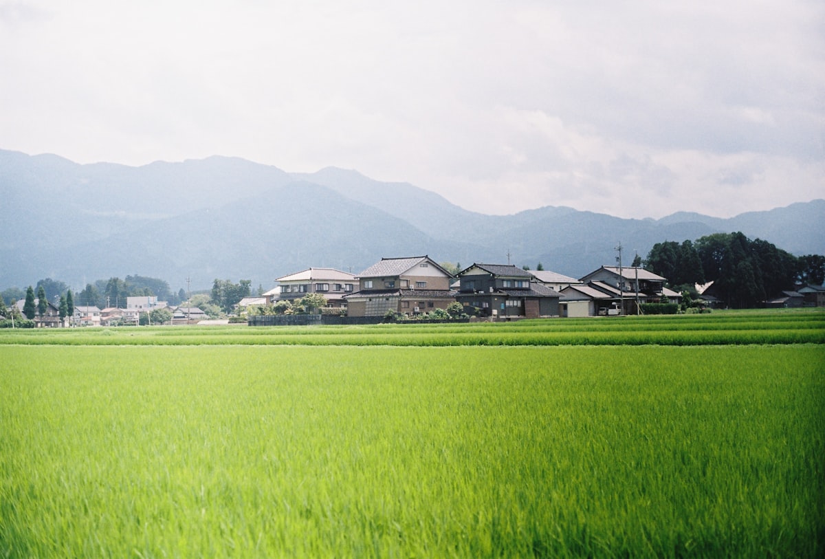山々に囲まれた日本の農村と水田